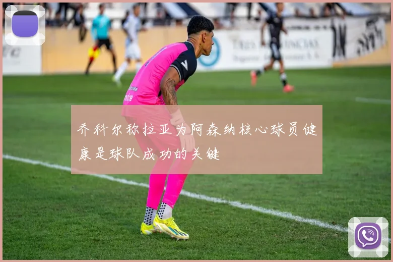 乔科尔称拉亚为阿森纳核心球员健康是球队成功的关键