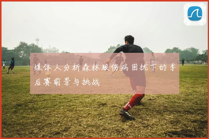 媒体人分析森林狼伤病困扰下的季后赛前景与挑战