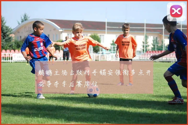 鹈鹕主场击败对手锡安领衔多点开花争夺季后赛席位