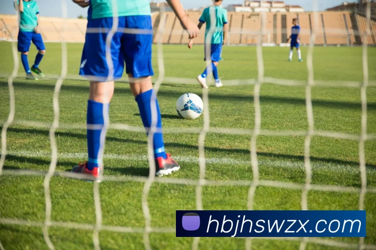 mksports网站平台生态图