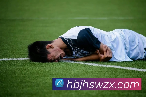 mksports网站APP 封面图